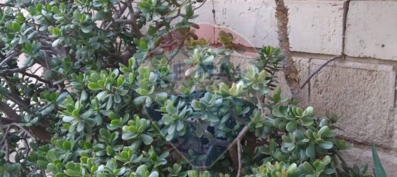 2 bedrooms House in Ferla, Italy No. 131020 10