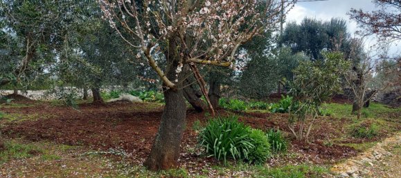 3-Zimmer Haus in Ostuni, Italy, Nr. 157902 25