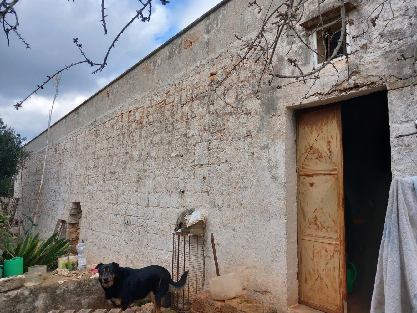 3-Zimmer Haus in Ostuni, Italy, Nr. 157902