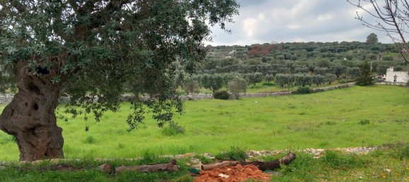 3-Zimmer Haus in Ostuni, Italy, Nr. 157902 18