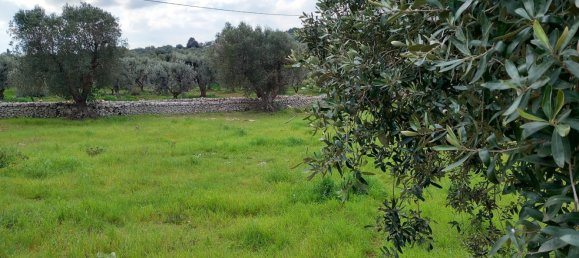 3-Zimmer Haus in Ostuni, Italy, Nr. 157902 22