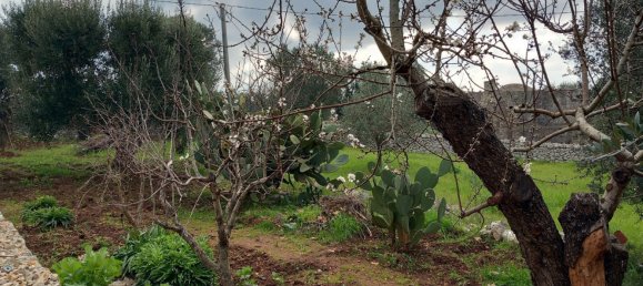 3-Zimmer Haus in Ostuni, Italy, Nr. 157902 24