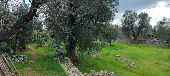 3-Zimmer Haus in Ostuni, Italy, Nr. 157902 21