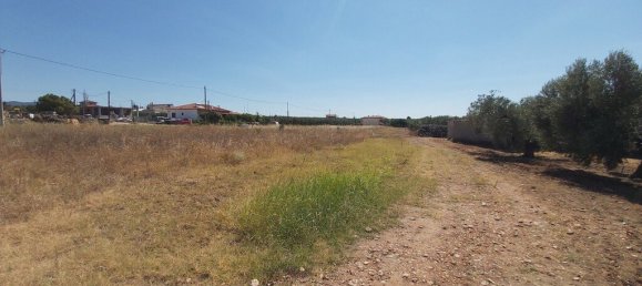 12300m² Hotel for sale in Polygyros, Chalkidiki, Central Macedonia, Macedonia and Thrace, Greece № 3858 3