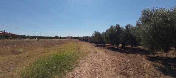 12300m² Hotel in Polygyros, Greece No. 3858 5