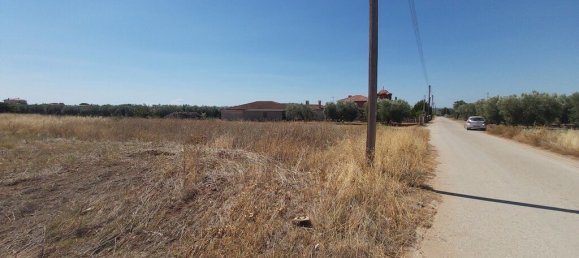 12300m² Hotel for sale in Polygyros, Chalkidiki, Central Macedonia, Macedonia and Thrace, Greece № 3858 6