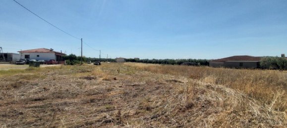 12300m² Hotel in Polygyros, Greece No. 3858 4