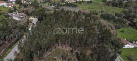  Land in Vila Nova de Poiares, Portugal No. 61404 6