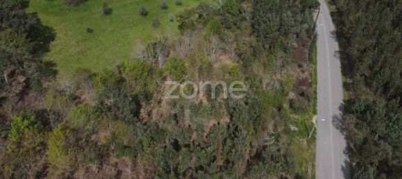  Land in Vila Nova de Poiares, Portugal No. 61404 9