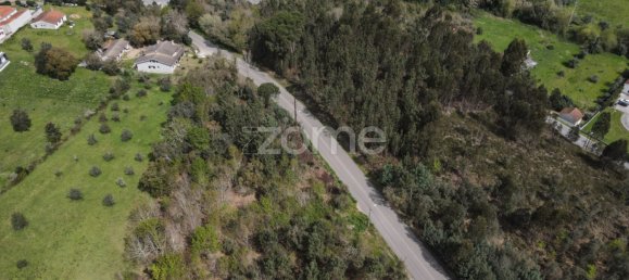  Land in Vila Nova de Poiares, Portugal No. 61404 7