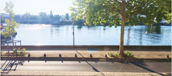 3 غرف نوم منزل ذو طابقين في Alfortville, France رقم 334319 14