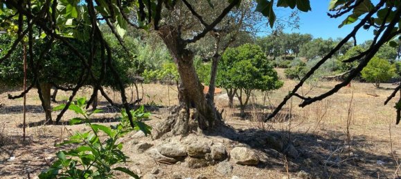 Terrain à Portalegre, Portugal 285m² No. 90332 6