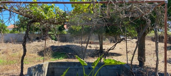 Terrain à Portalegre, Portugal 285m² No. 90332 7