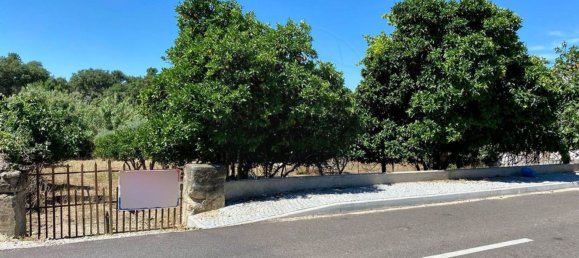 Terrain à Portalegre, Portugal 285m² No. 90332 12