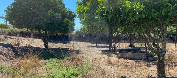 Terrain à Portalegre, Portugal 285m² No. 90332 11