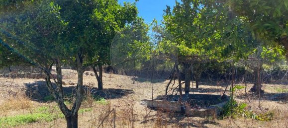 Terrain à Portalegre, Portugal 285m² No. 90332 9