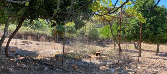 Terrain à Portalegre, Portugal 285m² No. 90332 5