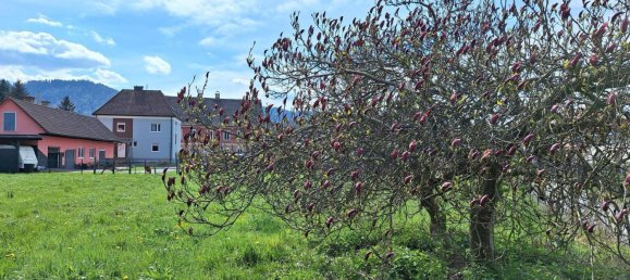 Land in Arnfels, Austria No. 167560 8