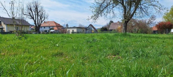 Land in Arnfels, Austria No. 167560 6