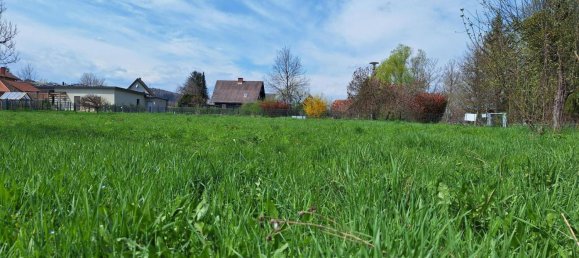 Land in Arnfels, Austria No. 167560 5