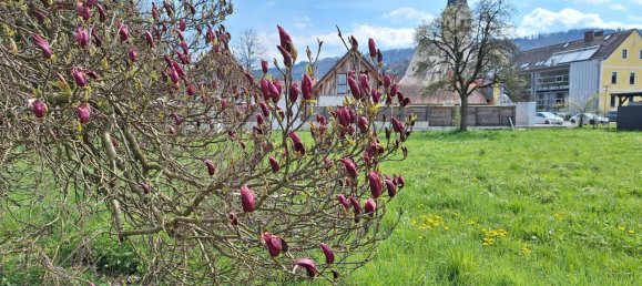 Land in Arnfels, Austria No. 167560 3