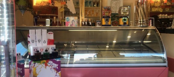 Gewerbliche Immobilie in Brescia, Italy 472m², Nr. 14123 44