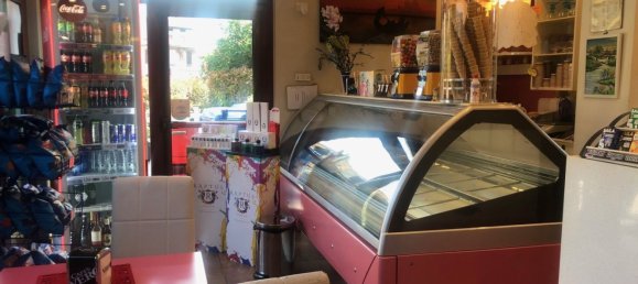 Gewerbliche Immobilie in Brescia, Italy 472m², Nr. 14123 17