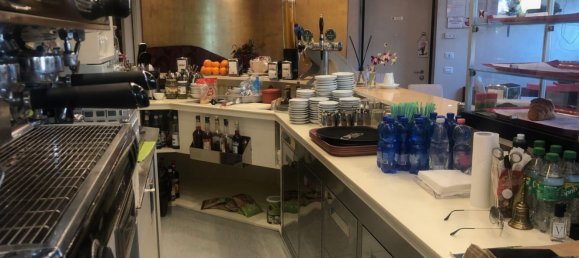 Gewerbliche Immobilie in Brescia, Italy 472m², Nr. 14123 22