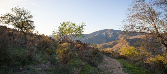Terreno en Moclinejo, Spain 30000 m² No. 56533 9