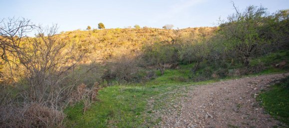 Terreno en Moclinejo, Spain 30000 m² No. 56533 2