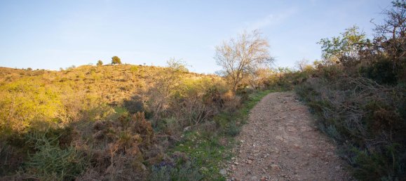 Terreno en Moclinejo, Spain 30000 m² No. 56533 8