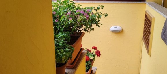 3 rooms Apartment in Santa Teresa Gallura, Italy No. 250854 16