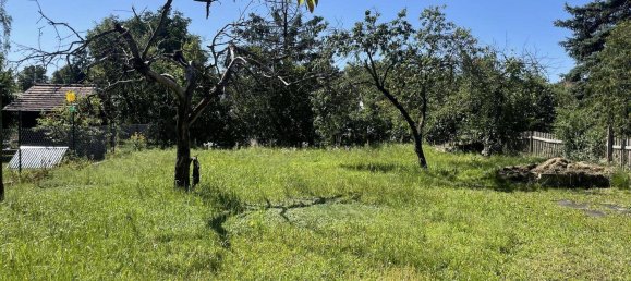 Таунхаус с 3 комнатами в Баутцен, Германия № 346260 5