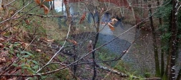 Casa T2 em São Cristóvão de Nogueira, Portugal N.º 24747 8