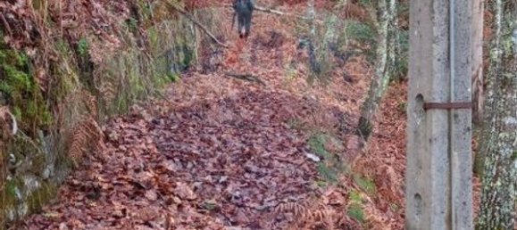 Casa T2 em São Cristóvão de Nogueira, Portugal N.º 24747 2