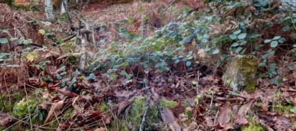 Casa T2 em São Cristóvão de Nogueira, Portugal N.º 24747 4