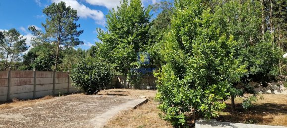 3 Schlafzimmer Villa in Maceira, Portugal, Nr. 246020 27