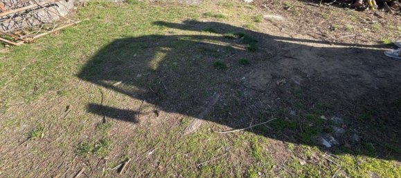 5 rooms House in Luni, Italy No. 94407 41