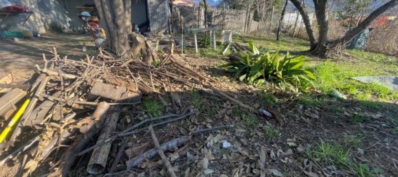 5 rooms House in Luni, Italy No. 94407 40