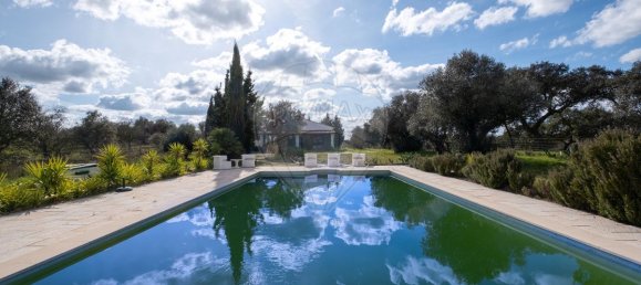 9 غرف نوم منزل في Pavia, Portugal رقم 68168 32