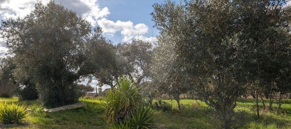 9 غرف نوم منزل في Pavia, Portugal رقم 68168 43