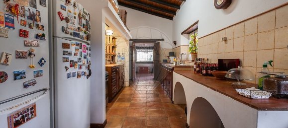 9 غرف نوم منزل في Pavia, Portugal رقم 68168 29