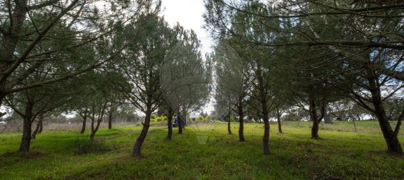 9 غرف نوم منزل في Pavia, Portugal رقم 68168 39