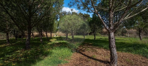 9 غرف نوم منزل في Pavia, Portugal رقم 68168 40