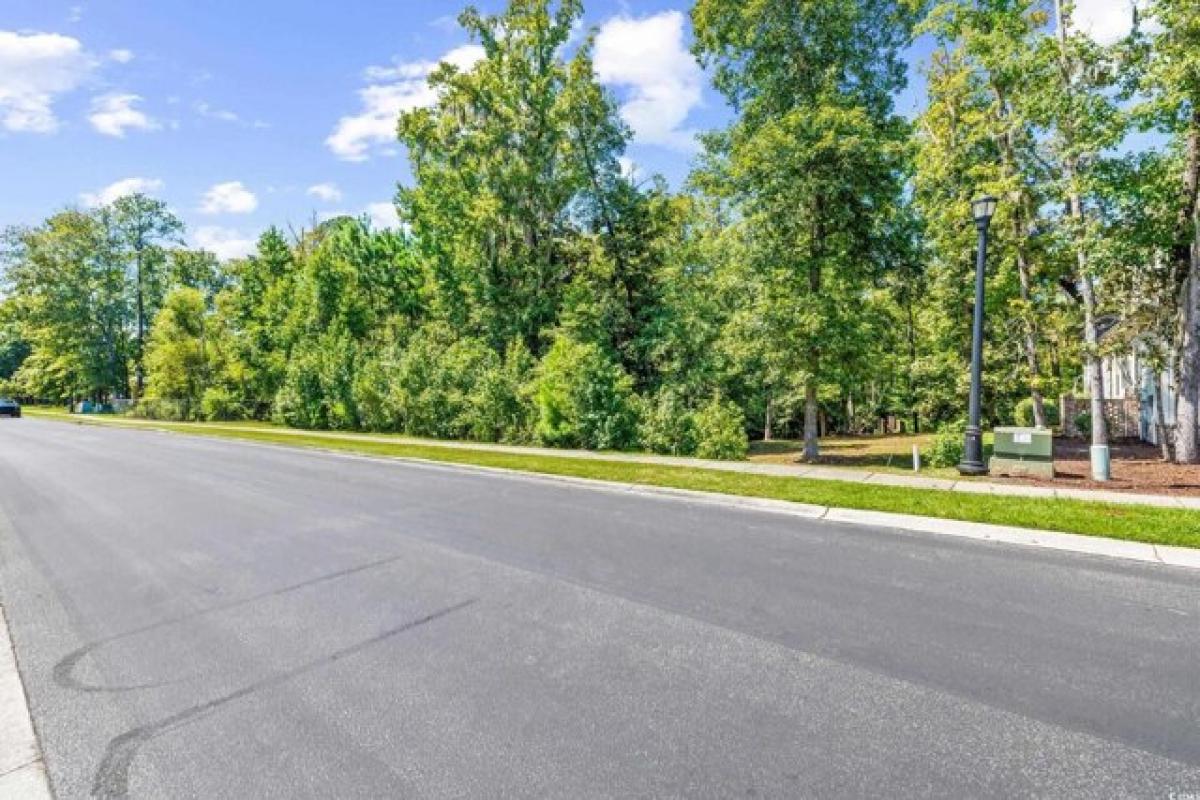  Land in Myrtle Beach, USA No. 475774