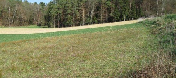 Земельный участок в Еннерсдорф, Австрия № 242982 3