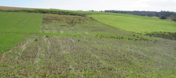 Земельный участок в Еннерсдорф, Австрия № 242982 2