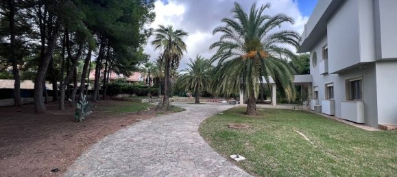 10 bedrooms Villa in Palmanova, Spain No. 14710 25