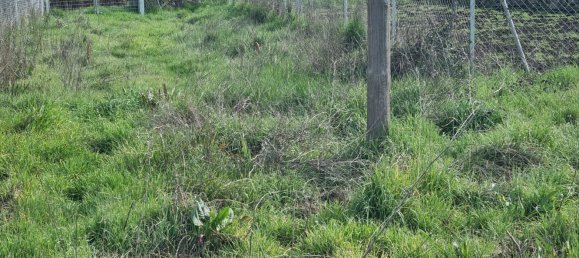  قطعة أرض في Navaluenga, Spain 561متر مربع رقم 88626 8