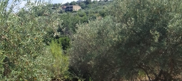 3500m² Land in Misilmeri, Italy No. 297583 2